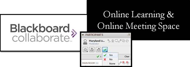 Online Learning with Blackboard Collaborate